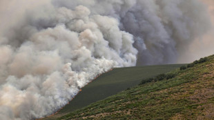 Lutte sans répit contre les incendies en Espagne et au Portugal, déjà six morts