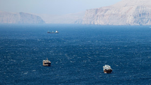Iran, 'tenuto a Muscat il primo incontro su Hormuz con l'Oman'