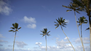 Studie: Unter Hawaiis Stränden verbirgt sich jede Menge Plastikmüll