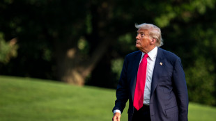 Trump scarica i suoi sostenitori su Epstein, 'bufala dem'