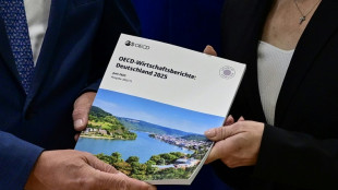 OECD empfielt Bundesregierung Abschaffung von Frührente und Ehegattensplitting