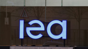 Los pa&iacute;ses de la AIE liberan 400 millones de barriles de petr&oacute;leo de sus reservas estrat&eacute;gicas