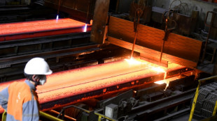 ArcelorMittal demande "une application rapide" du plan europ&eacute;en pour l'acier