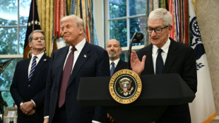 Trump kündigt 100 Prozent Zölle auf Chips und Halbleiter an