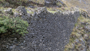 Agricoltura, dal Medioevo nuove strategie contro il cambio clima