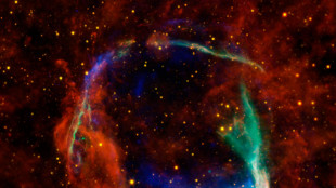 Primo sguardo in una supernova, bolle di gas come perle di una collana
