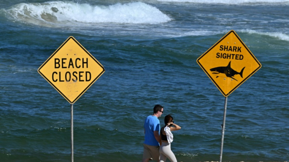 Australie: le surfeur probablement tué par un grand requin blanc, selon des experts