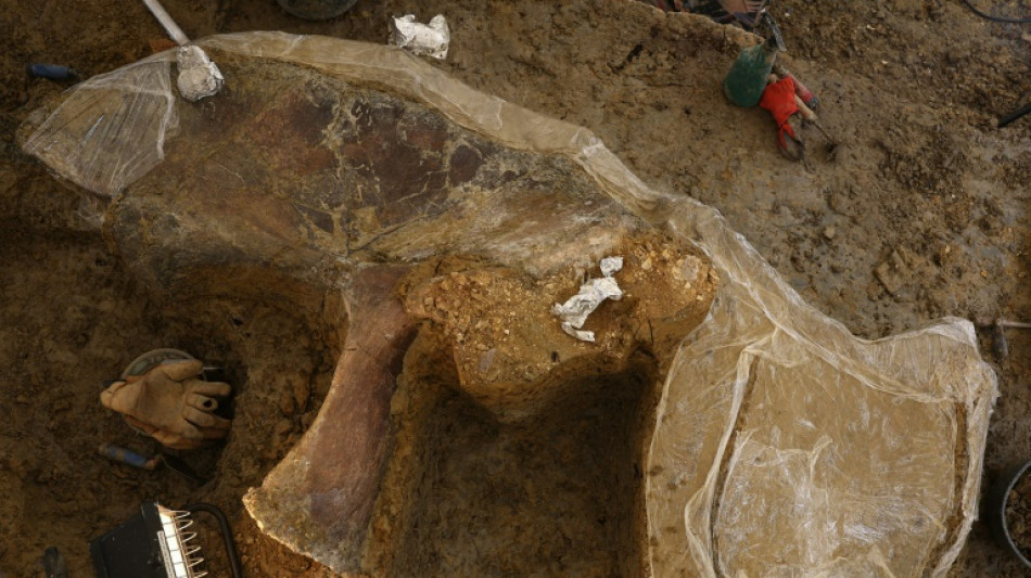 Une nouvelle esp&egrave;ce de dinosaure continue de sortir de terre en Charente