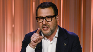 Salvini, contro-dazi fanno male a Italia, Ue si svegli