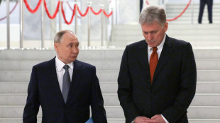Cremlino, per vertice Trump-Putin necessaria preparazione