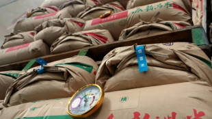 Japan PM hits out at farm minister over free rice claim
