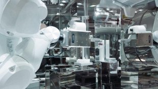 Tracciato l'albero dei robot,un'enciclopedia delle loro capacit&agrave;