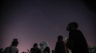 Le stelle cadenti nate dalla cometa di Halley illuminano il cielo