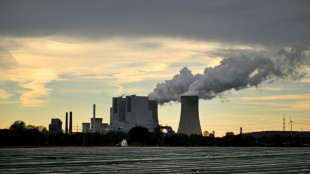 Germany cuts growth forecast as recovery slower than hoped