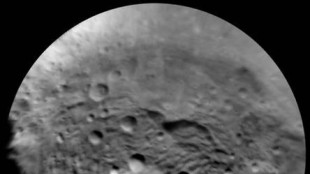 Asteroidi come autogrill spaziali, si potr&agrave; anche mangiare