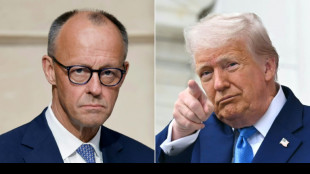 Mission d&eacute;licate de Merz &agrave; Washington, en qu&ecirc;te d'une bonne entente avec Trump