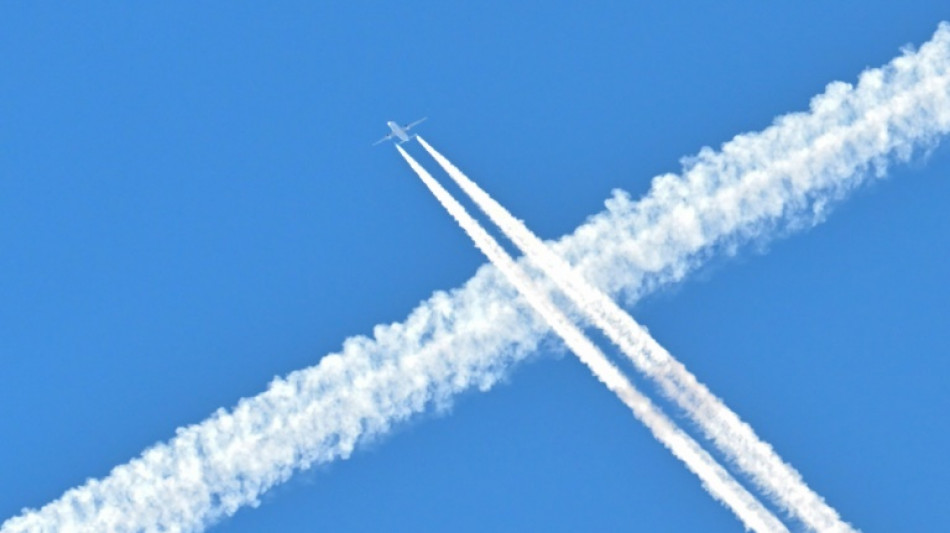 Studie: Immer mehr Unternehmen achten bei Gesch&auml;ftsreisen auf Umweltschutz