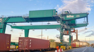 Portuali Genova, 'respinti container armi per Israele'