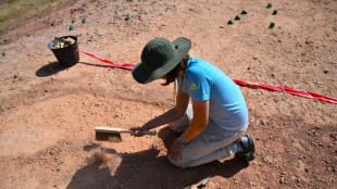 A "Eggs-en-Provence", une pouponni&egrave;re &agrave; dinosaures unique au monde