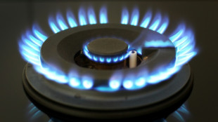Verbrauchersch&uuml;tzer warnen vor Abzocke mit Energiepreisbremsen