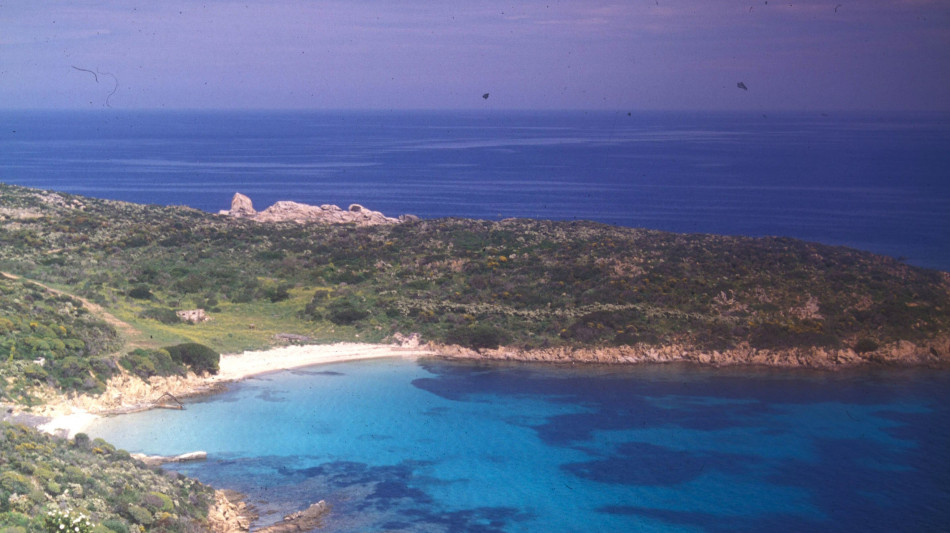 Trovate microplastiche anche nelle aree marine protette