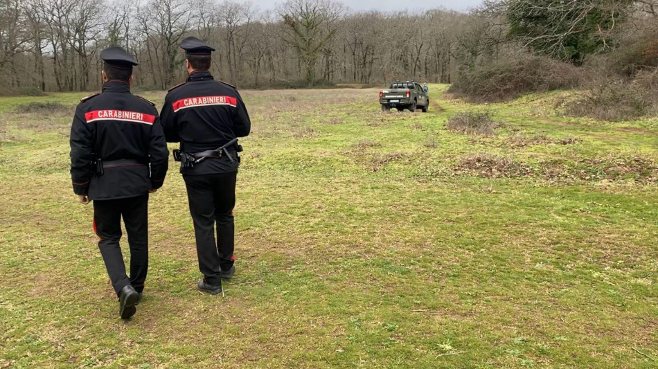 Sbranato da rottweiler, condannata coppia proprietaria dei cani