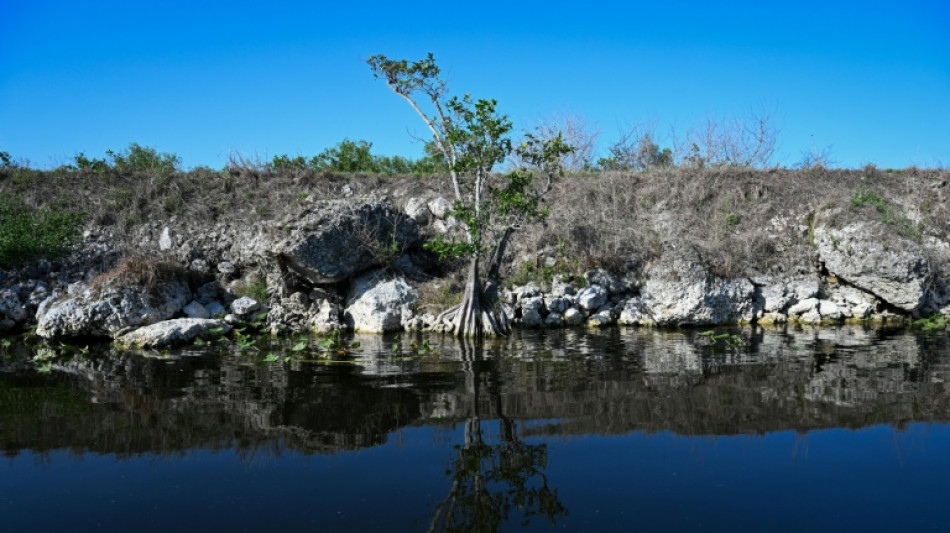 Trump-Anordnung: Ausländer müssen in US-Nationalparks mehr zahlen