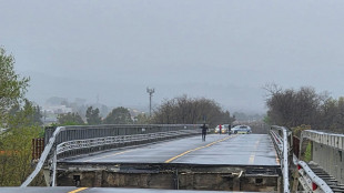 Ponte crollato sul Trigno, aperto un fascicolo in Procura