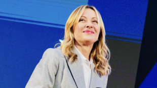 Meloni lunedì a Berlino per l'incontro fra Zelensky e leader europei