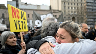 Deputados na Argentina rejeitam veto de Milei a fundos para pessoas com defici&ecirc;ncia; falta Senado