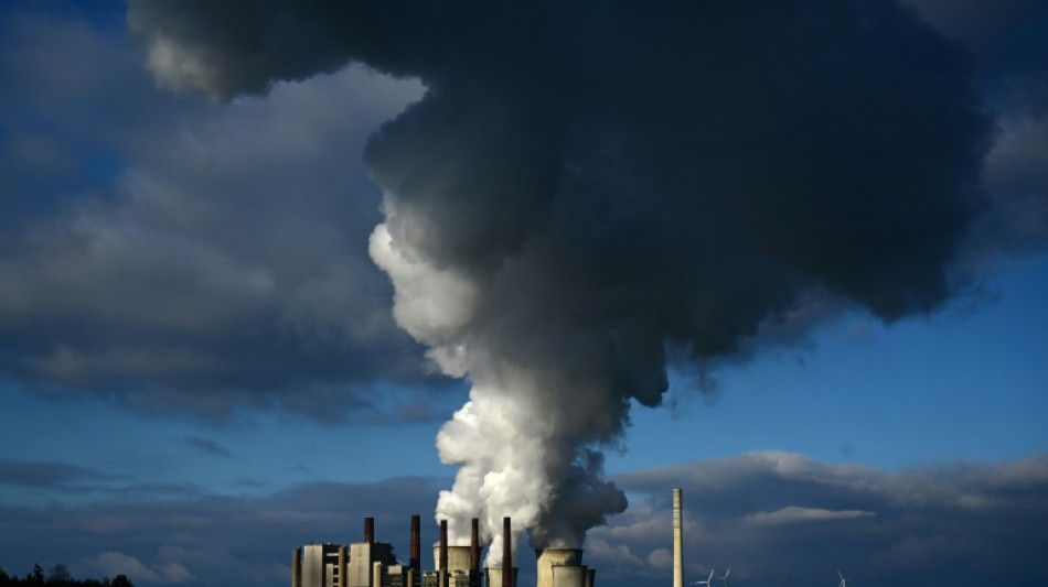 Fridays for Future kritisiert "Milliardengeschenke für Gaslobby" durch Regierung