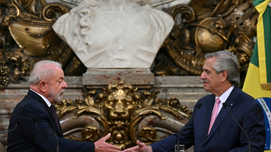 Brasil y Argentina esperan desarrollar comercio en base a una moneda com&uacute;n