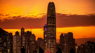 Chinese cluster now world's top innovation hotspot: UN