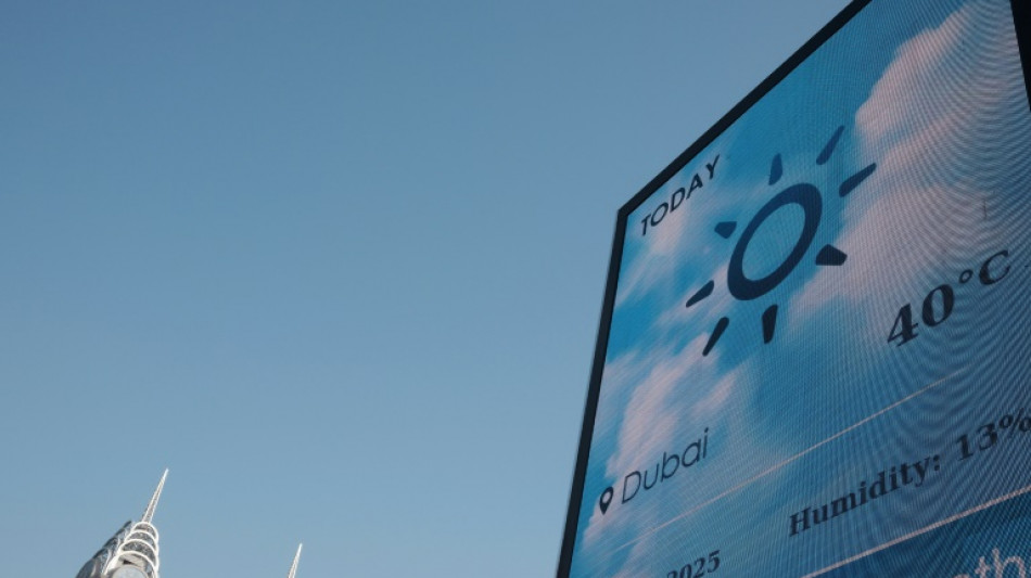 La moitié de l'humanité a subi un mois supplémentaire de canicule à cause du réchauffement, selon une étude