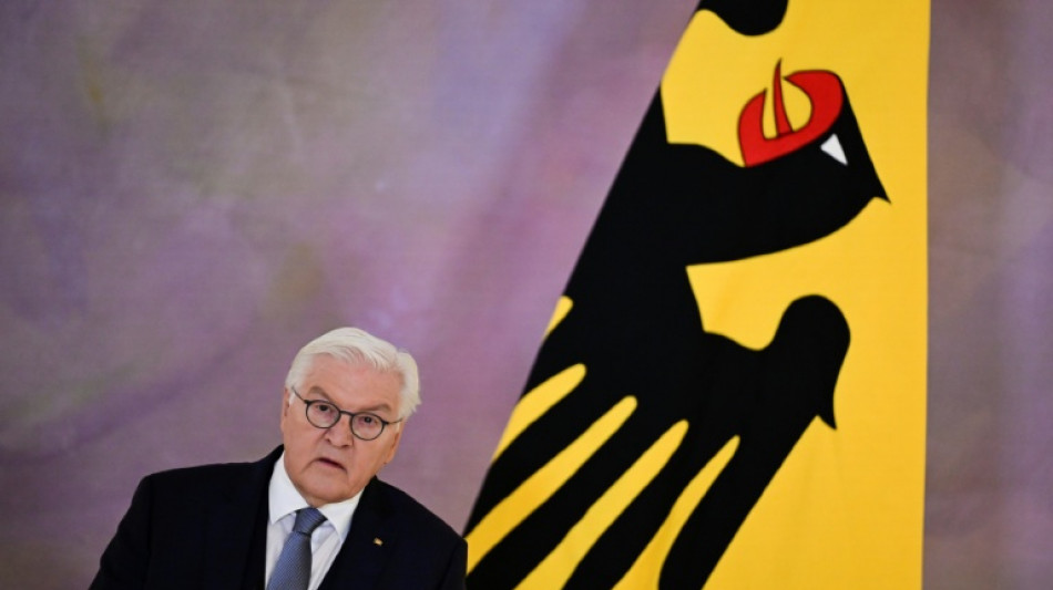 Steinmeier will mit "Ehrentag" in einem Jahr gesellschaftliches Miteinander stärken