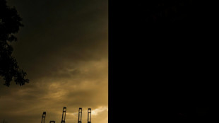 La filial de Hutchison acusa a Panam&aacute; de causarle "da&ntilde;os dr&aacute;sticos"