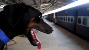 L'Ue a Trenitalia, 'bene i viaggi estivi gratis per i cani'