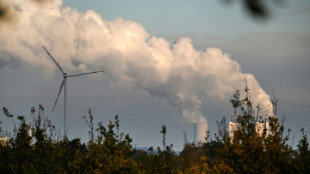 Grüne fordern Umweltminister Schneider zu Einsatz für EU-Klimaziel für 2040 auf