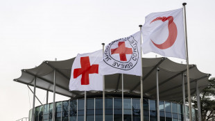 Croce Rossa, 'a Kiev distrutto nostro magazzino, in fumo 2 milioni in aiuti'