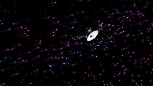 La sonda Voyager 1 &egrave; tornata pienamente operativa