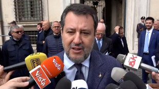 Salvini, conto +20% dei 'sì' al referendum sulla giustizia