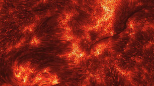 Immagine da record di un brillamento solare, mai cos&igrave; nitido