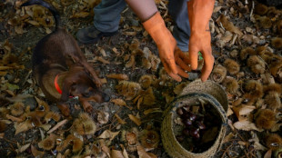 El desempleo en España registra un ligero aumento en el tercer trimestre, al 10,45%