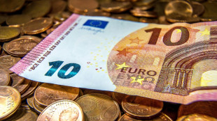 "Bild": Ausgaben f&uuml;r B&uuml;rgergeld 2024 auf 57,1 Milliarden Euro gestiegen
