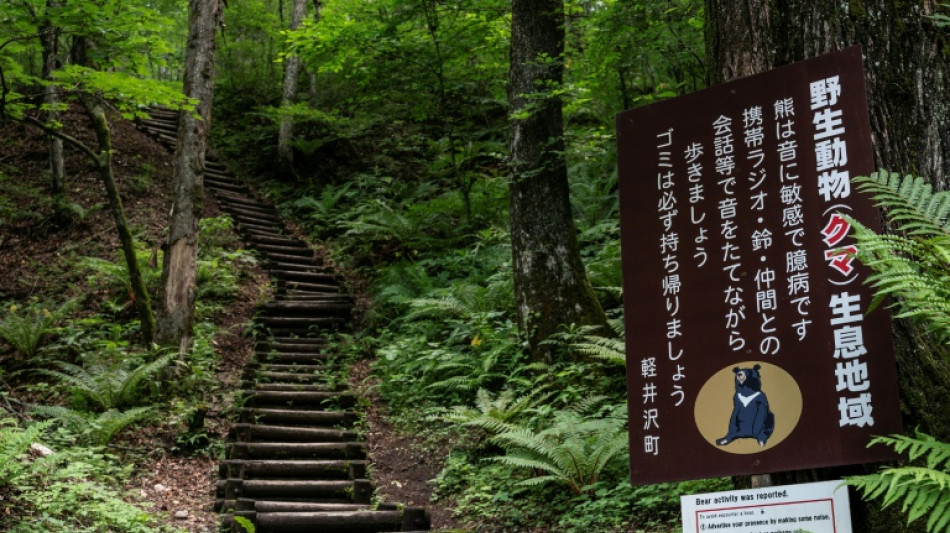 Gobernador japonés pide ayuda militar ante ataques de osos