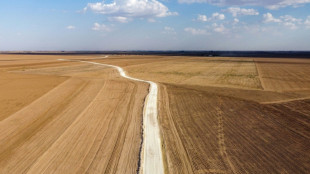 Copernicus: Vergangener Monat war zweitwärmster je gemessener Mai