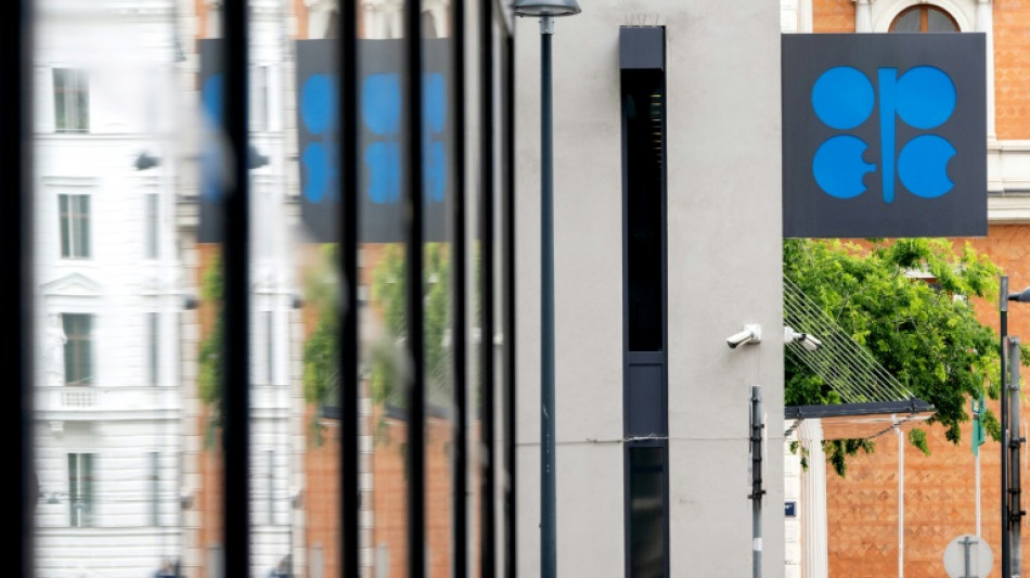 Opep+ aumenta produ&ccedil;&atilde;o de petr&oacute;leo em 547.000 barris di&aacute;rios