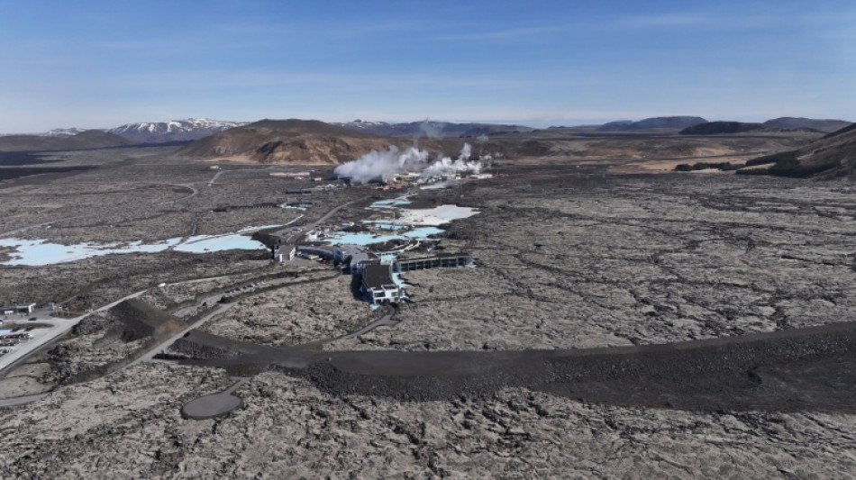 Detectan por primera vez mosquitos en Islandia