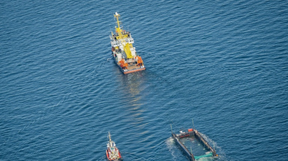 Contin&uacute;a en aguas danesas el remolque de la ballena varada en Alemania
