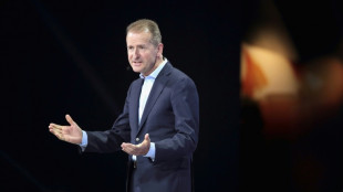 Ex-VW-Chef Diess kritisiert Debatte um Verbrenner-Aus